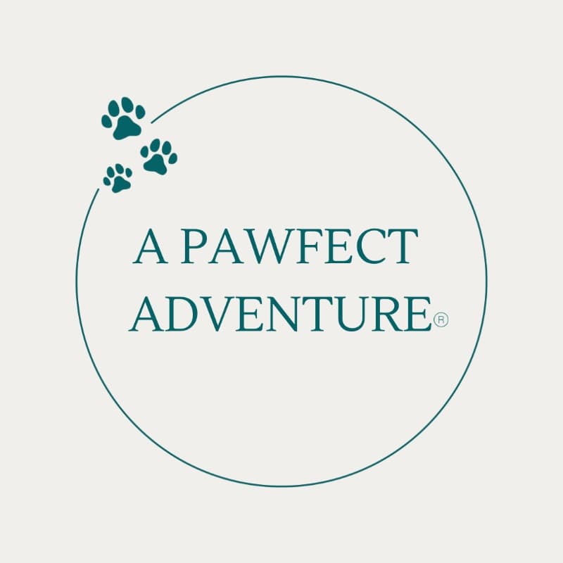 A Pawfect Adventure