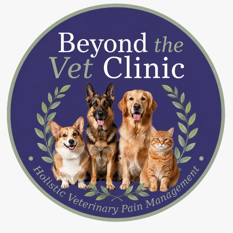 Beyond the Vet Clinic